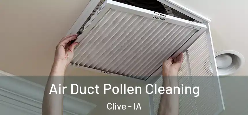  Air Duct Pollen Cleaning Clive - IA