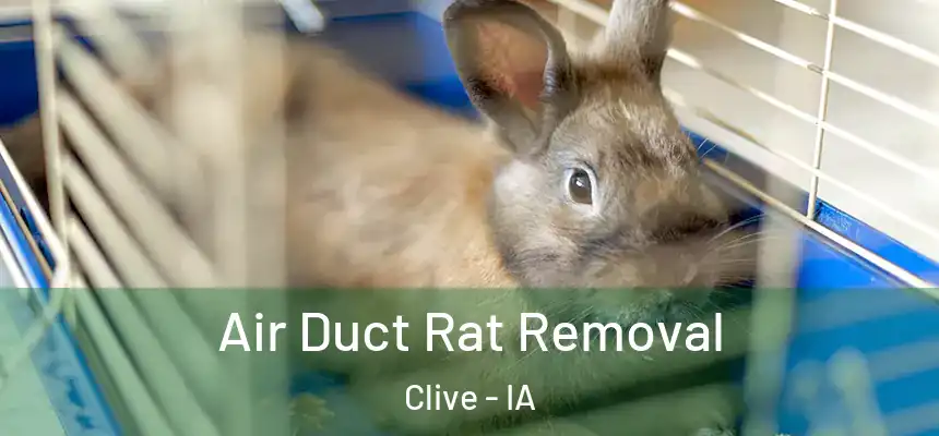  Air Duct Rat Removal Clive - IA
