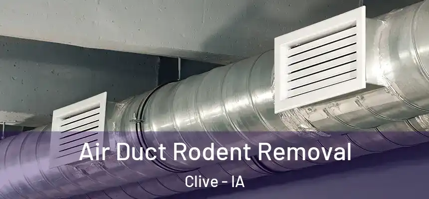  Air Duct Rodent Removal Clive - IA