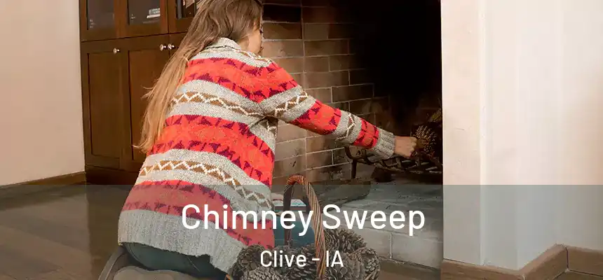  Chimney Sweep Clive - IA