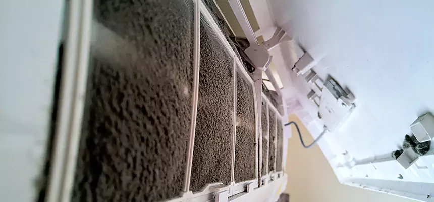 Preventive Air Duct Bacteria Removal in Clive