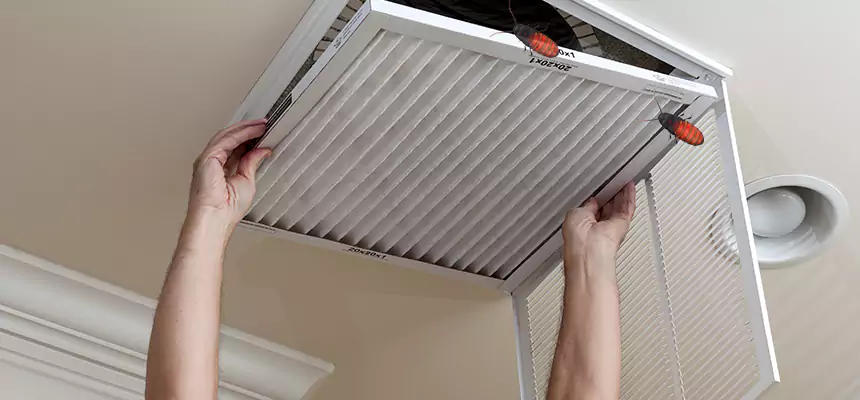 Preventive Cockroach-Proofing for Ducts in Clive