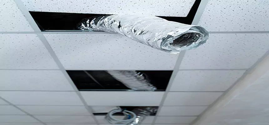 Affordable HVAC Sanitizing After Pest Removal in Clive