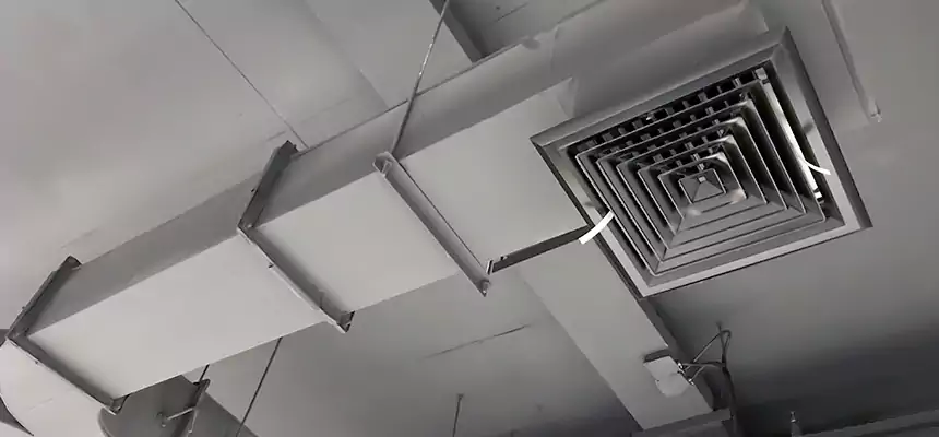 Restorative Allergy Relief Vent Cleaning – Coil, Blower & Housing Detail in Clive