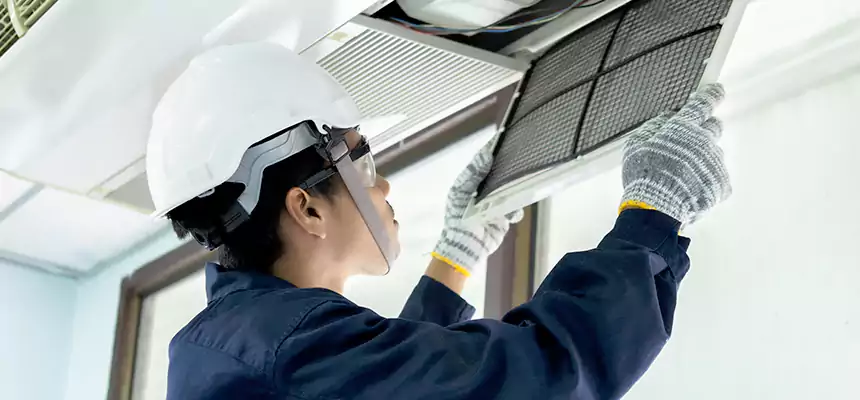 Our Mold & Mildew Removal from Air Ducts Services in Clive, IA