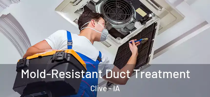  Mold-Resistant Duct Treatment Clive - IA
