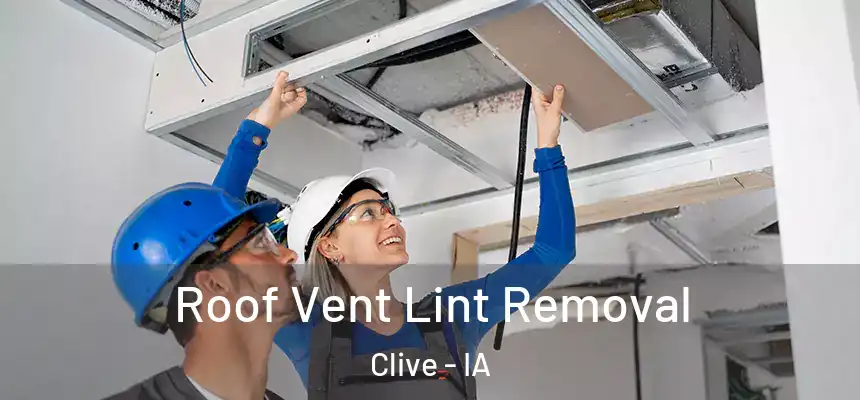  Roof Vent Lint Removal Clive - IA