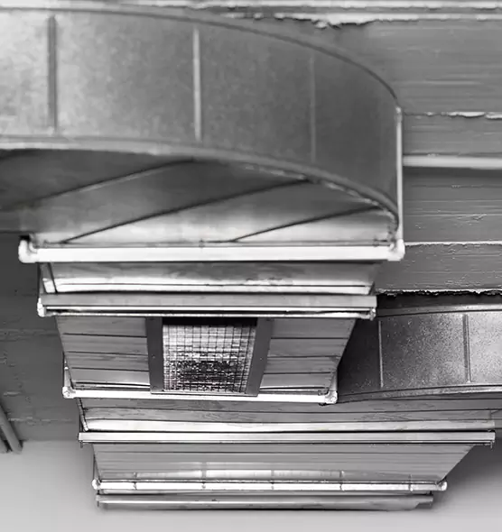 Professional Air Duct Pest Removal in Clive, IA