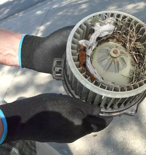 About Air Duct Rat Removal in Clive, IA