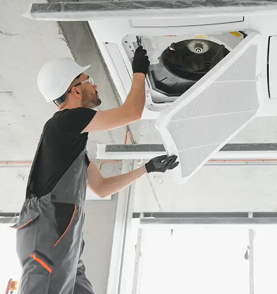 About Air Duct Rodent Removal in Clive, IA