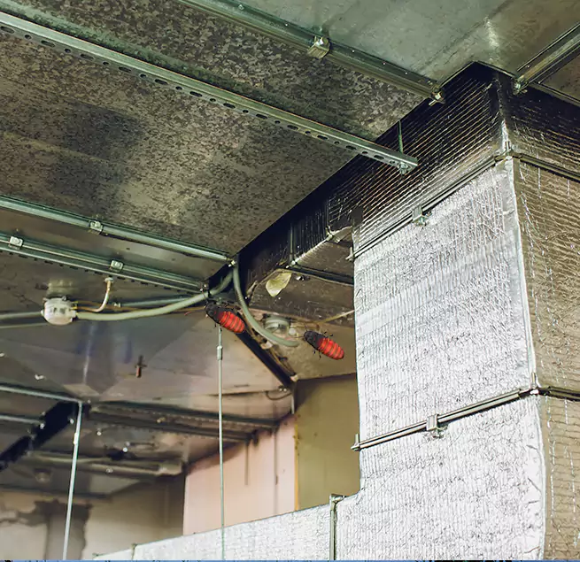 Why Homeowners & Businesses Trust Us in Clive, IA?