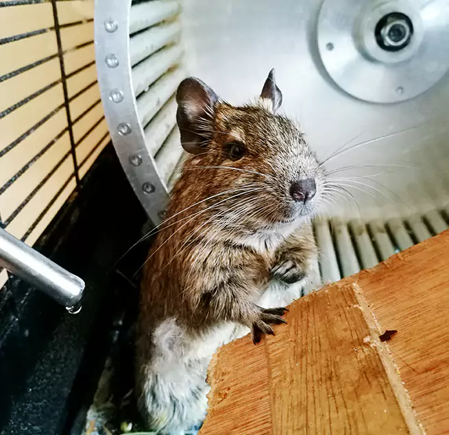 Why Homeowners & Businesses Trust Us Clive, IA