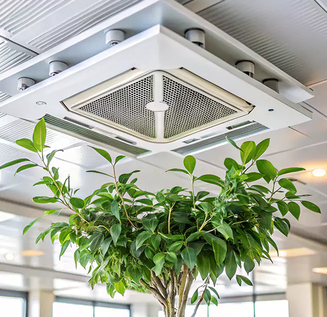 Why Homeowners & Businesses Trust Us in Clive, IA?