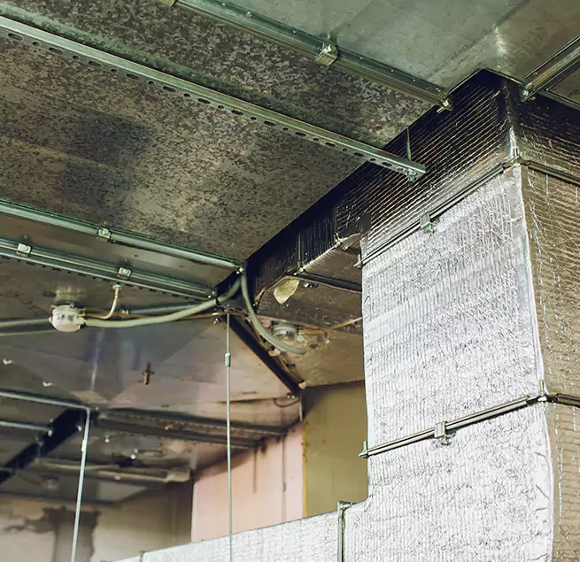 Why Homeowners & Businesses Trust Us in Clive, IA?